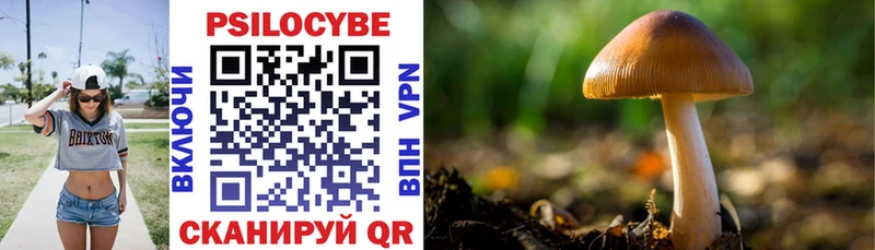 даркнет сайт  площадка состав  Галлюциногенные грибы Cubensis  Курчатов 